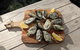 3-Day Guided Seafood Lovers Tour Of Ceduna From Adelaide - thumb 12