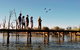 8 Day Upper Murraylands Cruise On PS Murray Princess - thumb 5