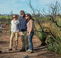 NEW TOUR - Kangaroo Island Road to Recovery Tour 1 Day/1 Night - Tourism Adelaide