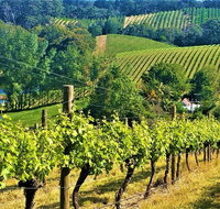 Adelaide Hills Private Day Tour - Tourism Adelaide