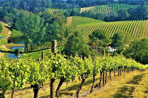 Adelaide Hills Private Day Tour - Tourism Adelaide 0