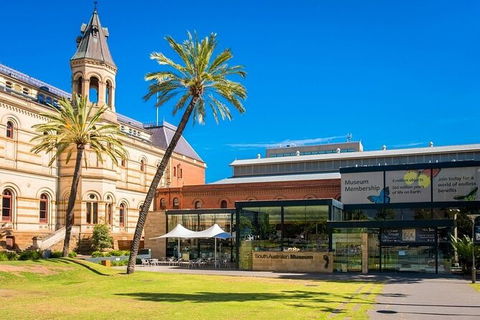 Departure Private Transfers: Adelaide To Adelaide Airport ADL In Business Car - Tourism Adelaide 6
