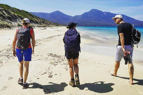 Freycinet Walking Tour - Tourism Adelaide 1
