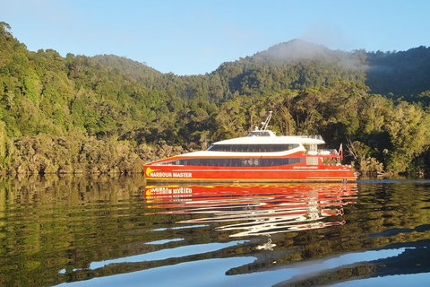 Afternoon Gordon River Dinner Cruise - Departing 3pm - Tourism Adelaide 1