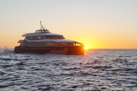 Afternoon Gordon River Dinner Cruise - Departing 3pm - Tourism Adelaide 0
