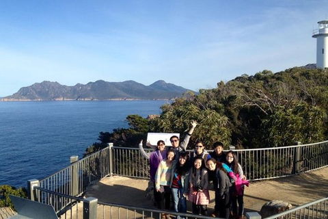 Half-Day Tour To Wineglass Bay From Launceston With Guide - Tourism Adelaide 3