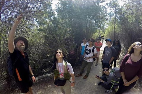 Half-Day Tour To Wineglass Bay From Launceston With Guide - Tourism Adelaide 1