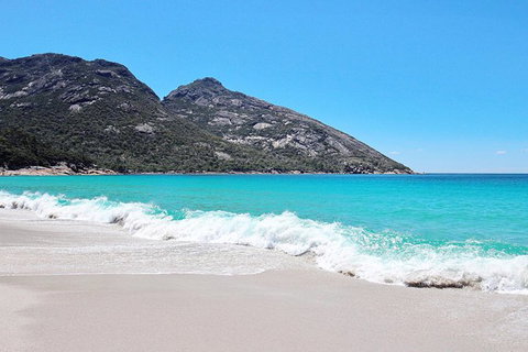 Sea & Explore Wineglass Bay & Freycinet National Park - Cruise & Walk - Tourism Adelaide 4