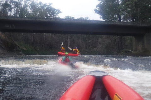 Twin Rivers Winter Adventure - Tourism Adelaide 4