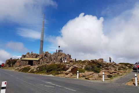 Mt. Wellington Morning Hike + Afternoon Beer & History Walk - Tourism Adelaide 21