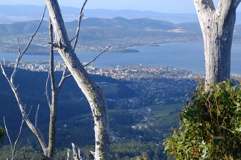 Mt. Wellington Morning Hike + Afternoon Beer & History Walk - Tourism Adelaide 10