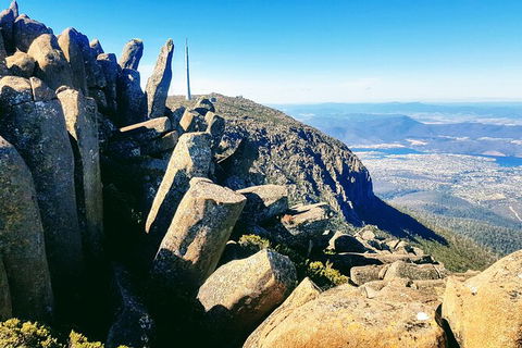 Mt. Wellington Morning Hike + Afternoon Beer & History Walk - Tourism Adelaide 11