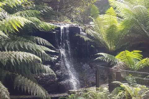 Mt. Wellington Morning Hike + Afternoon Beer & History Walk - Tourism Adelaide 16