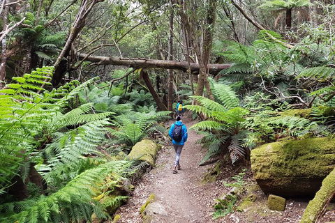 Mt. Wellington Morning Hike + Afternoon Beer & History Walk - Tourism Adelaide 7