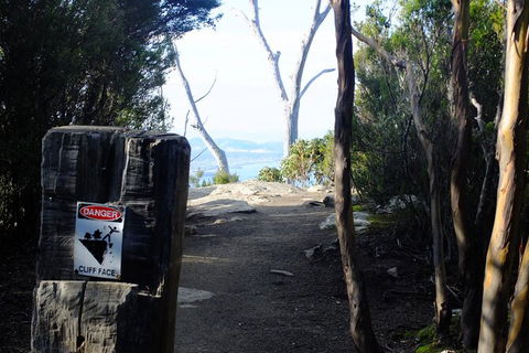 Mt. Wellington Morning Hike + Afternoon Beer & History Walk - Tourism Adelaide 14