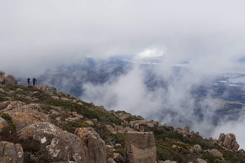 Mt. Wellington Morning Hike + Afternoon Beer & History Walk - Tourism Adelaide 18