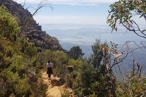 Mt. Wellington Morning Hike + Afternoon Beer & History Walk - Tourism Adelaide 1