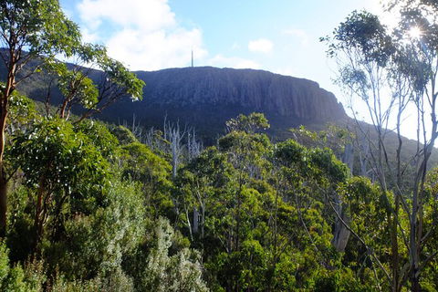 Mt. Wellington Morning Hike + Afternoon Beer & History Walk - Tourism Adelaide 4