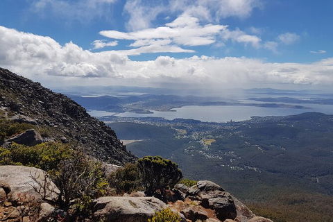 Mt. Wellington Morning Hike + Afternoon Beer & History Walk - Tourism Adelaide 5