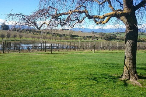 CHEVY CONVERTIBLE TOUR Per Group Up To 4 People. - Tourism Adelaide 2