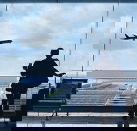 Private Transfer Avalon International Airport AVV to Melbourne - Tourism Adelaide