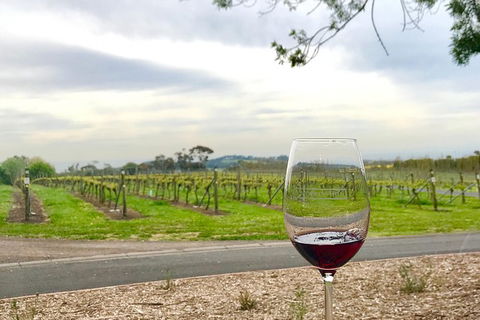 Cycle Tour | Guided | Bellarine Peninsula Victoria | Food & Wine Region - Tourism Adelaide 2