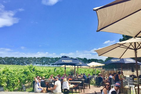 Cycle Tour | Guided | Bellarine Peninsula Victoria | Food & Wine Region - Tourism Adelaide 3