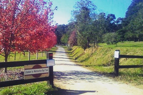 Aqueduct And Rail Trail Self-Guided Bike Tour In Warburton - Tourism Adelaide 4