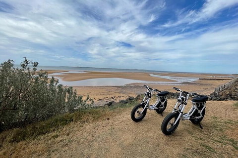 E-Bike Hire Super Cruzer In Phillip Island - Tourism Adelaide 3
