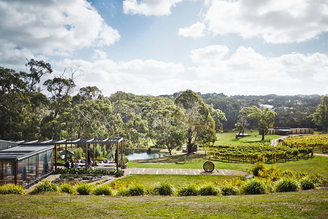 Mornington Peninsula 2-6 Guests Lunch, Wine And Pt Leo Estate Art Walk - Tourism Adelaide 2
