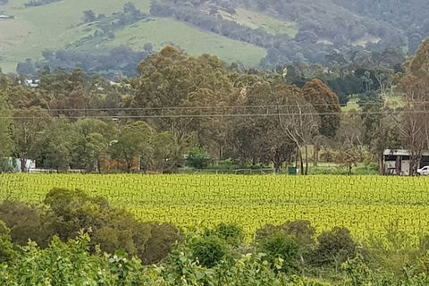 Day Tour Of Yarra Valley Puffing Billy And Rayners Orchard - Tourism Adelaide 44