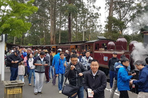 Day Tour Of Yarra Valley Puffing Billy And Rayners Orchard - Tourism Adelaide 3