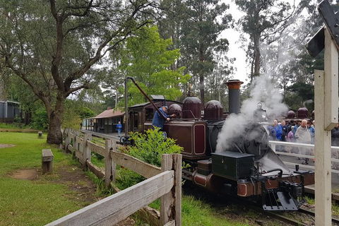 Day Tour Of Yarra Valley Puffing Billy And Rayners Orchard - Tourism Adelaide 14