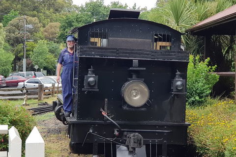 Day Tour Of Yarra Valley Puffing Billy And Rayners Orchard - Tourism Adelaide 11