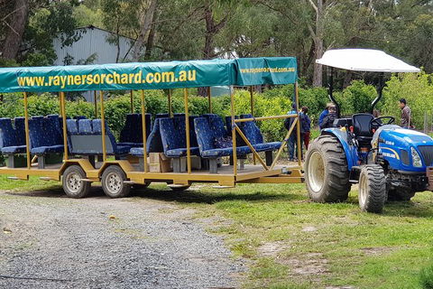 Day Tour Of Yarra Valley Puffing Billy And Rayners Orchard - Tourism Adelaide 48