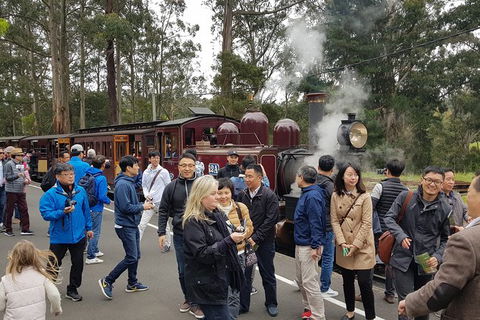 Day Tour Of Yarra Valley Puffing Billy And Rayners Orchard - Tourism Adelaide 18