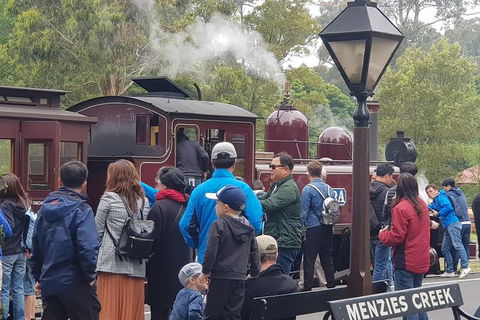 Day Tour Of Yarra Valley Puffing Billy And Rayners Orchard - Tourism Adelaide 40