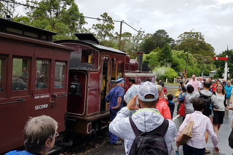 Day Tour Of Yarra Valley Puffing Billy And Rayners Orchard - Tourism Adelaide 23