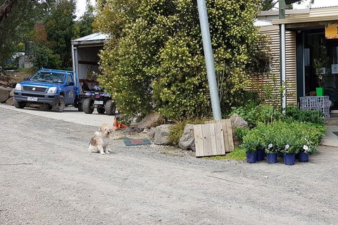 Day Tour Of Yarra Valley Puffing Billy And Rayners Orchard - Tourism Adelaide 6
