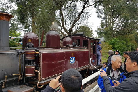 Day Tour Of Yarra Valley Puffing Billy And Rayners Orchard - Tourism Adelaide 28