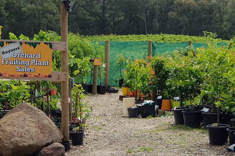 Day Tour Of Yarra Valley Puffing Billy And Rayners Orchard - Tourism Adelaide 22