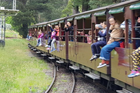 Day Tour Of Yarra Valley Puffing Billy And Rayners Orchard - Tourism Adelaide 13