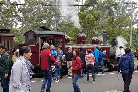 Day Tour Of Yarra Valley Puffing Billy And Rayners Orchard - Tourism Adelaide 4