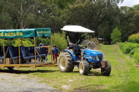Day Tour Of Yarra Valley Puffing Billy And Rayners Orchard - Tourism Adelaide 25