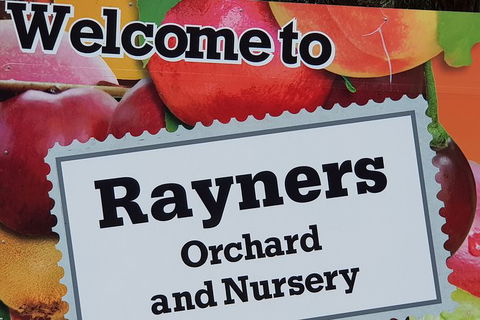 Day Tour Of Yarra Valley Puffing Billy And Rayners Orchard - Tourism Adelaide 20