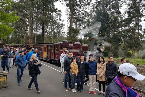 Day Tour Of Yarra Valley Puffing Billy And Rayners Orchard - Tourism Adelaide 9