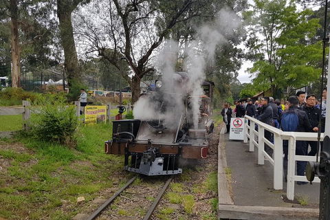 Day Tour Of Yarra Valley Puffing Billy And Rayners Orchard - Tourism Adelaide 43