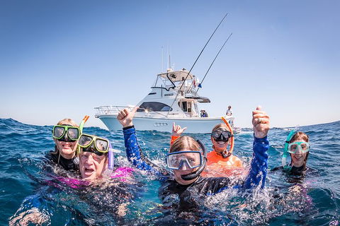 Life On Ningaloo Swimming Tour In Exmouth - Tourism Adelaide 4