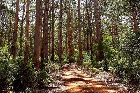 Explore Margaret Rivers\' National Parks On A Guided Cape To Cape Track Walk - Tourism Adelaide 5