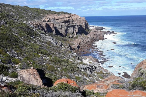 Explore Margaret Rivers\' National Parks On A Guided Cape To Cape Track Walk - Tourism Adelaide 7